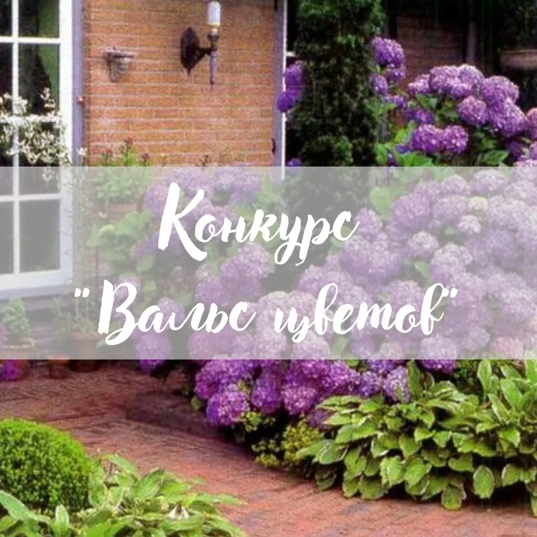 🌼🌺Стартует прием заявок на конкурс «Вальс цветов» среди жителей города, в том числе а...