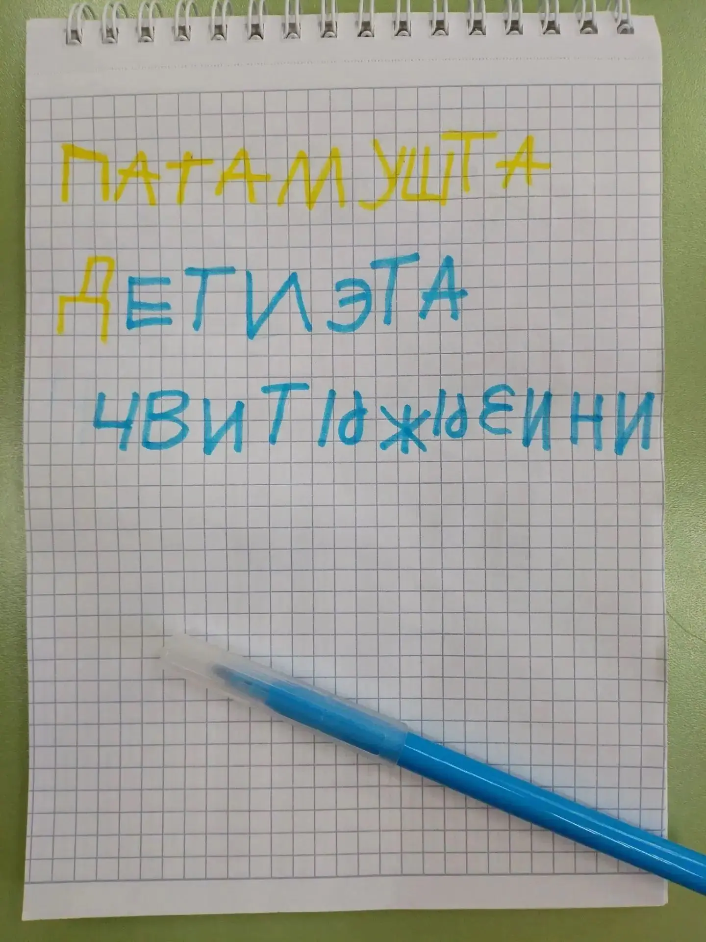 ⚡️  В рамках трека «Орлята-дошколята» Распономарёва А.Г. провела занятие по проекту «Хо...