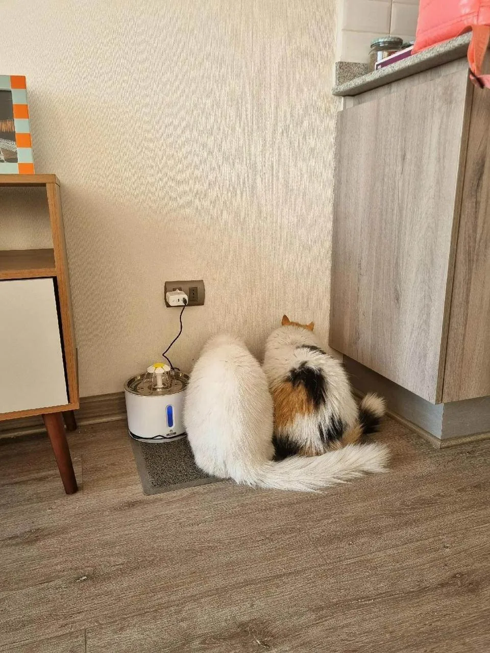 Выросли маленькие 🥰