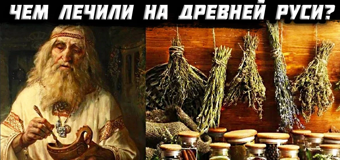 ЧТО ЗА ТРАВЫ ЛЕЧИЛИ ВСЕ БОЛЕЗНИ НА РУСИ?