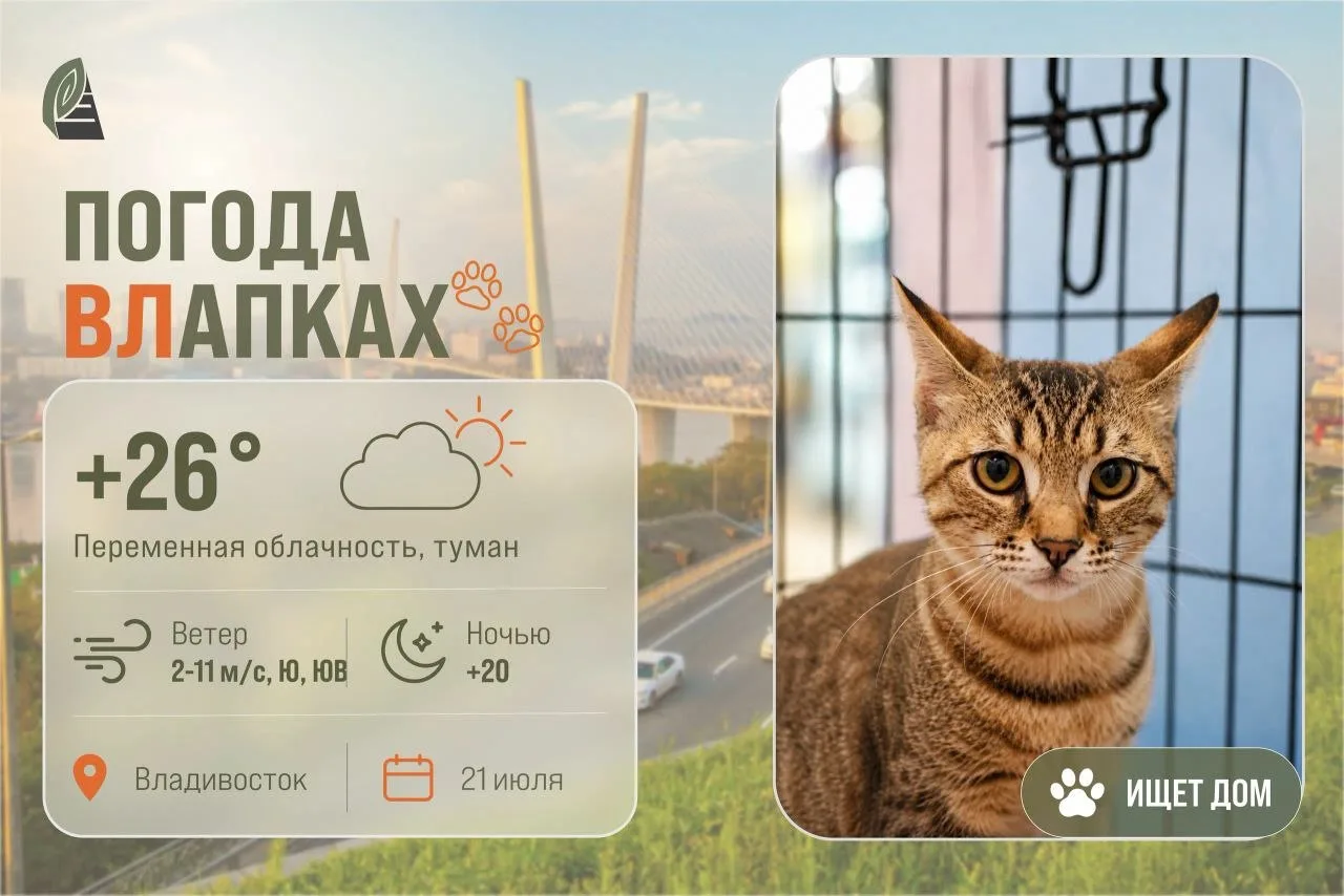 #ПогодаВЛапках

🌤️ Переменная облачность. 

В прогнозе шустрый Камыш – настоящий активный, харизмат
