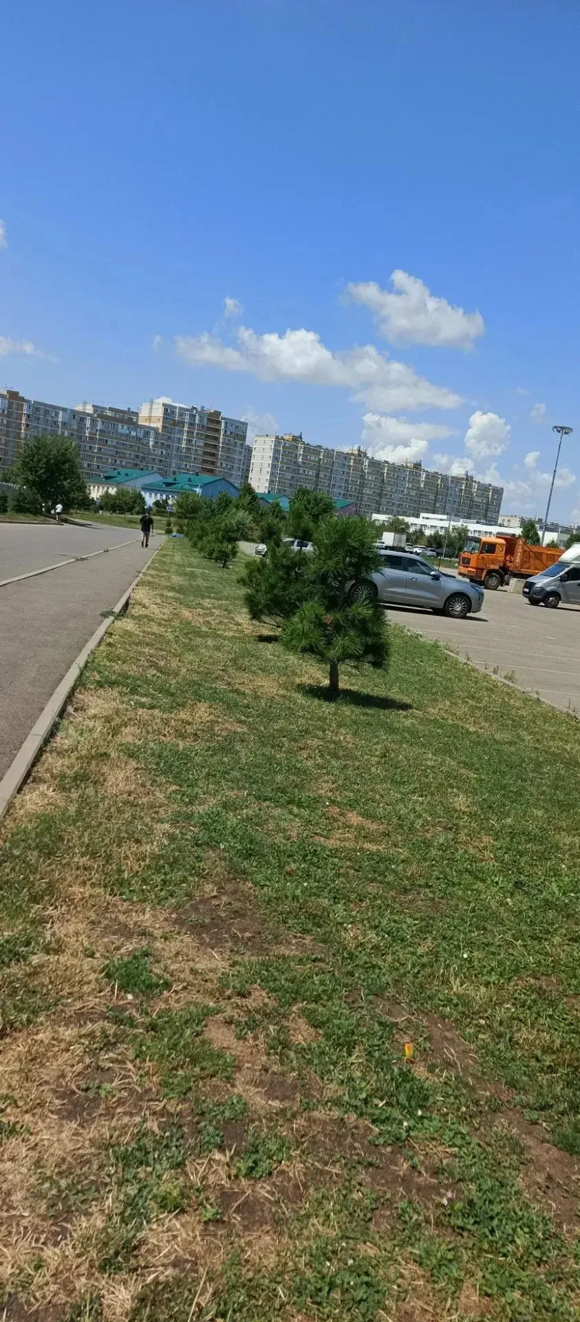 Выполнен покос газонов:1/4-15-16к.