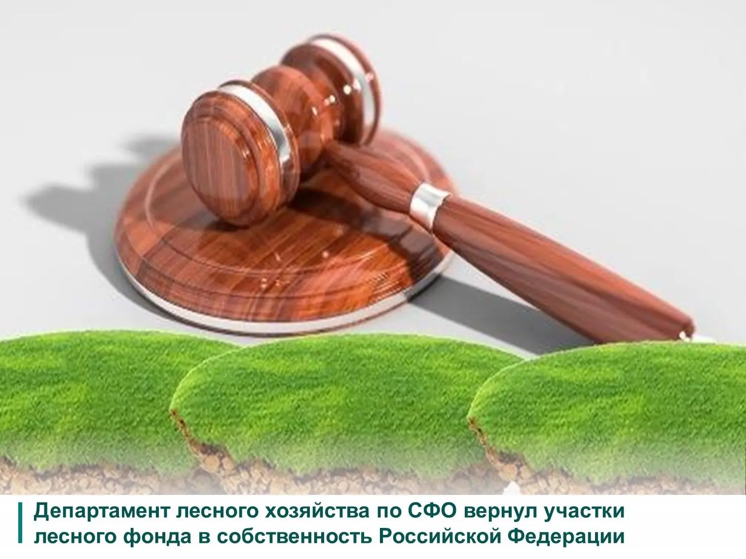 ☝Для пресечения незаконных действий с государственными землями лесного фонда Департамен...