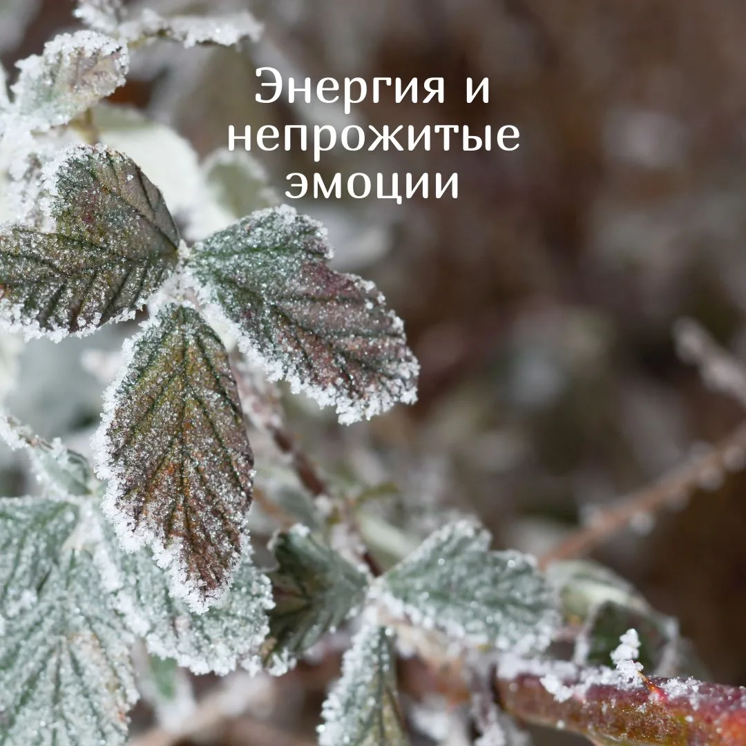 💙Как непрожитые эмоции влияют на уровень нашей энергетики?
