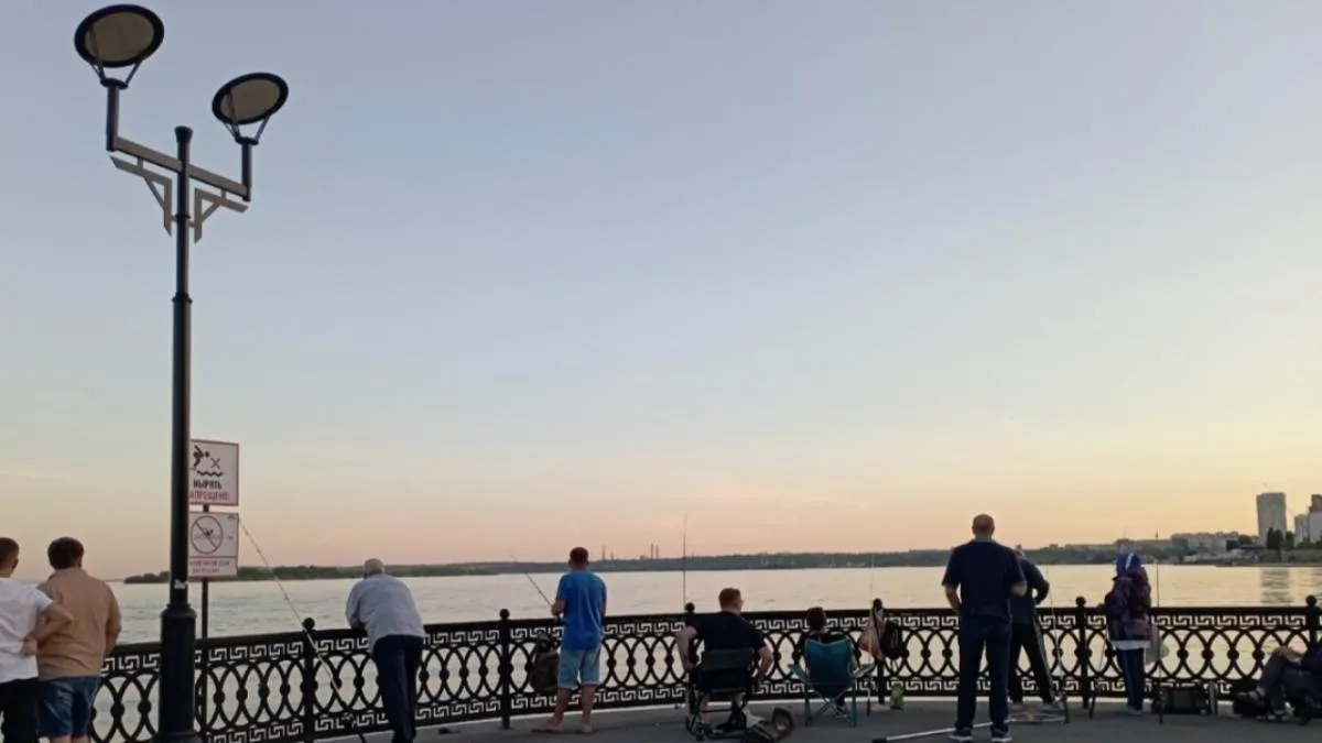 Саратовский рыбак выловил крупного сома весом 34,6 кг под мостом у Пристанного 

Житель Энгельса Сар