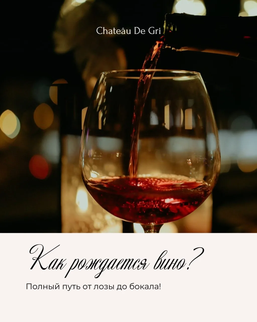 Путь вина от лозы до бокала 🍷

Сейчас мы только в самом начале этого большого пути. Каждый день при