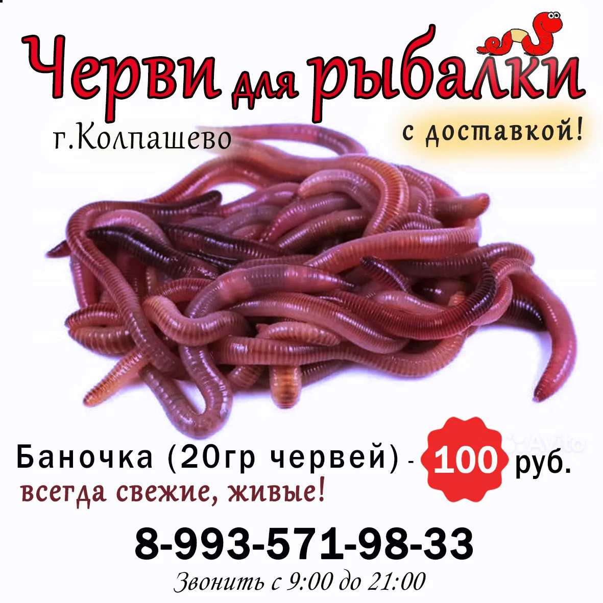 Доставка червей от 3 баночек (город, пески, матьянга). Цена с доставкой 120р/баночка