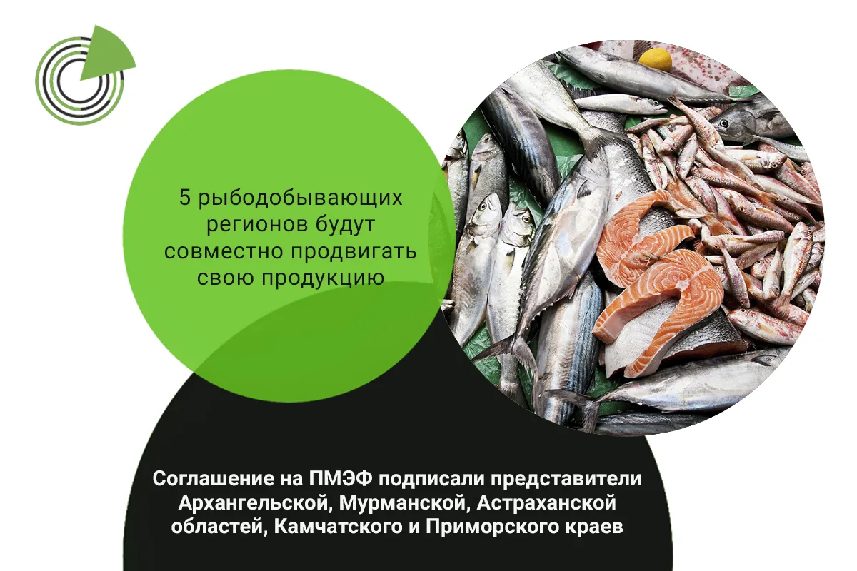 5 РЫБОДОБЫВАЮЩИХ РЕГИОНОВ БУДУТ СОВМЕСТНО ПРОДВИГАТЬ СВОЮ ПРОДУКЦИЮ