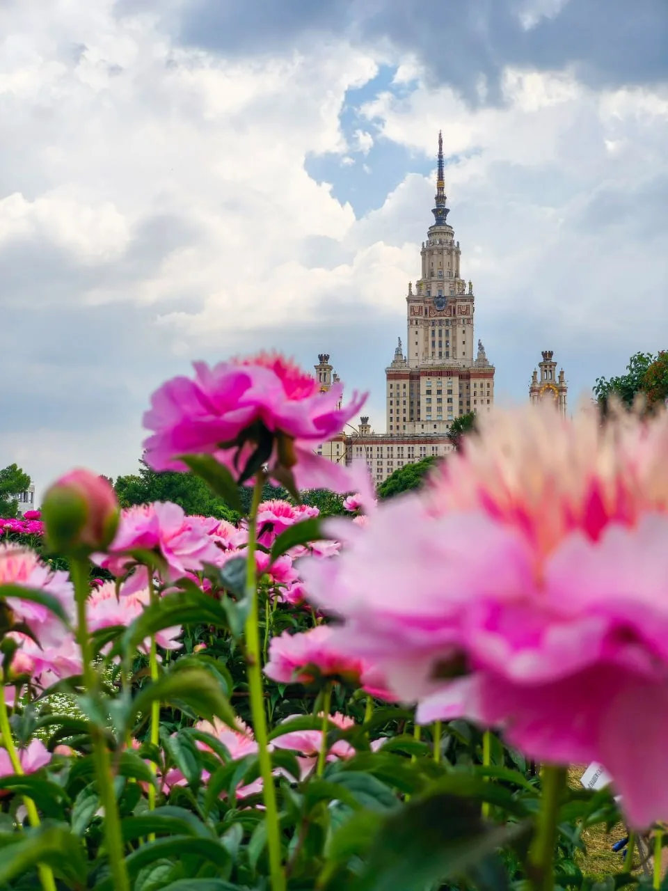 ❤️ Море пионов в Ботаническом саду МГУ.

Отправьте тому, с кем пойдёте любоваться. @moscowmi