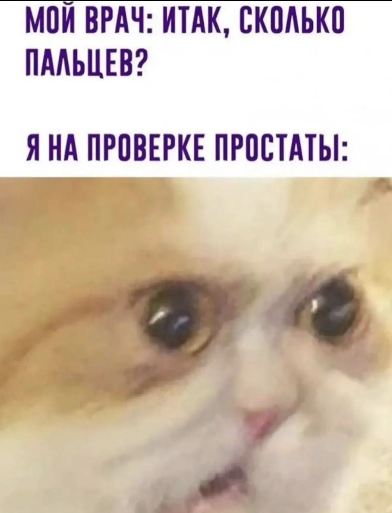 До слёз