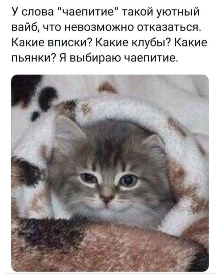 Мемный