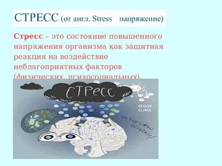 Рубрика: Здоровый образ жизни

Стресс: распознаем систомы

Стресс проявляется и на телесном, и на эм