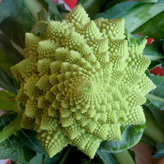 РОМАНЕСКО (от итал. romanesco — «римская») - необычный сорт капусты, который выглядит к...