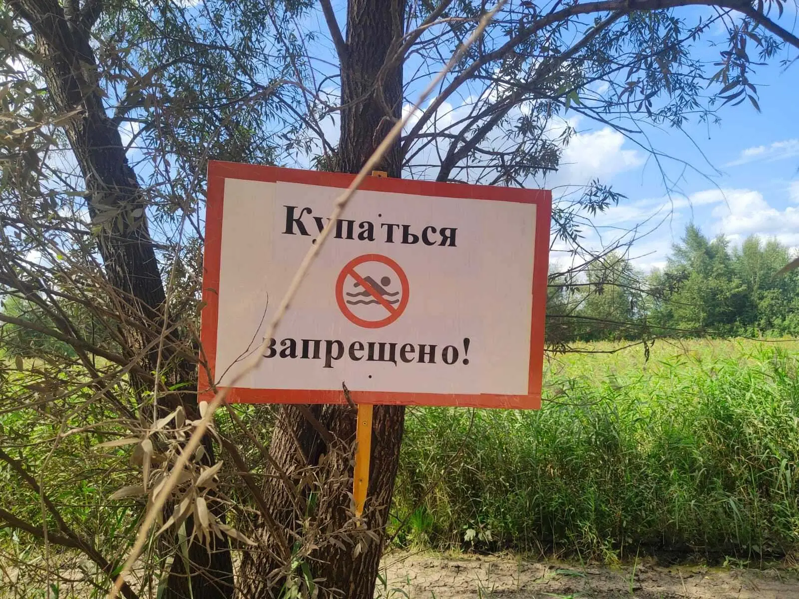 ‼️18.06.2026 г. административной комиссией был проведен рейд на карьер в с. Жуково. Три подростка, д