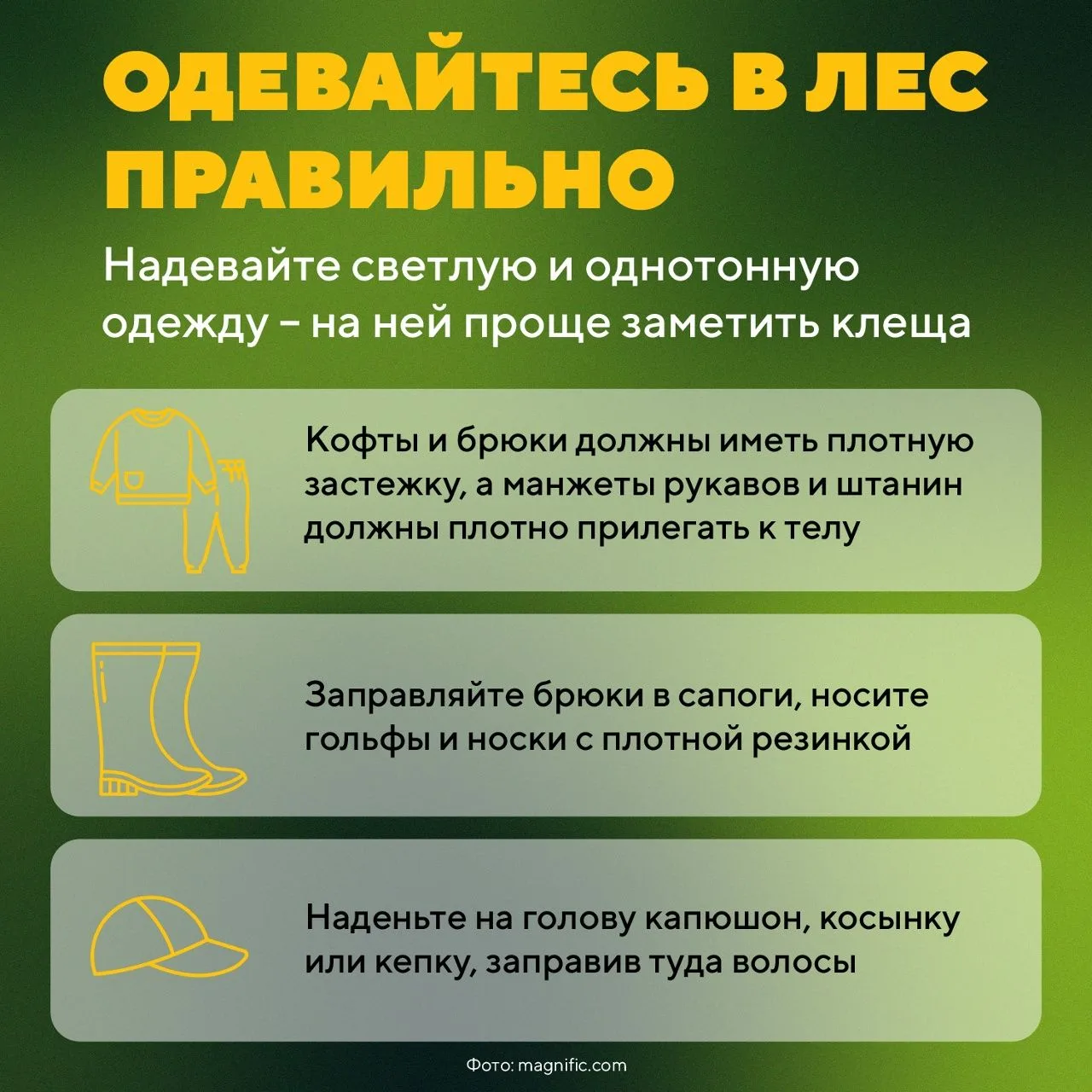 ❗Укус клеща может вызывать серьезные заболевания, опасные для человека и домашних животных