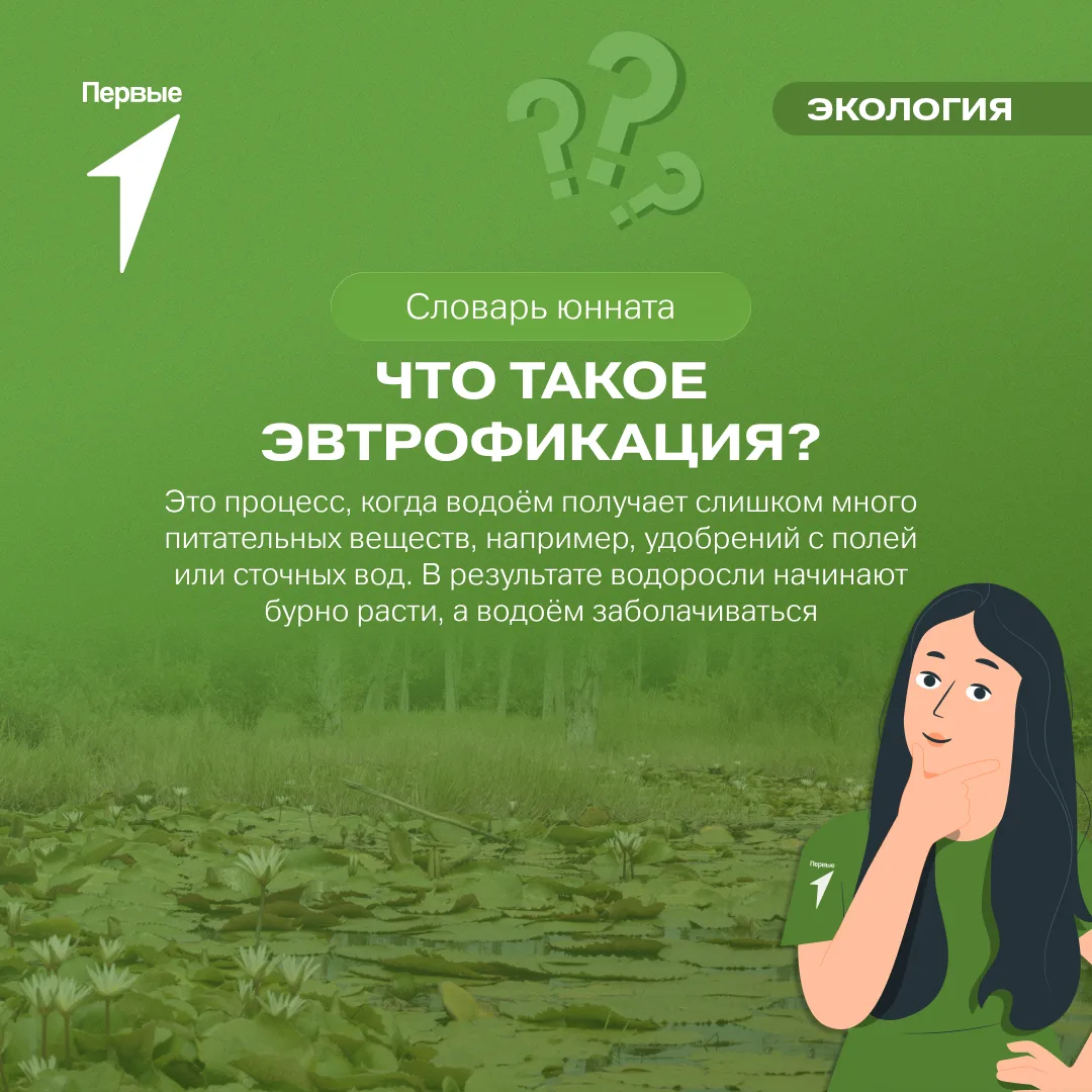 🥺 Почему водоёмы зеленеют? Узнай в словаре юнната Движения Первых!

Ты когда-нибудь видел озеро или