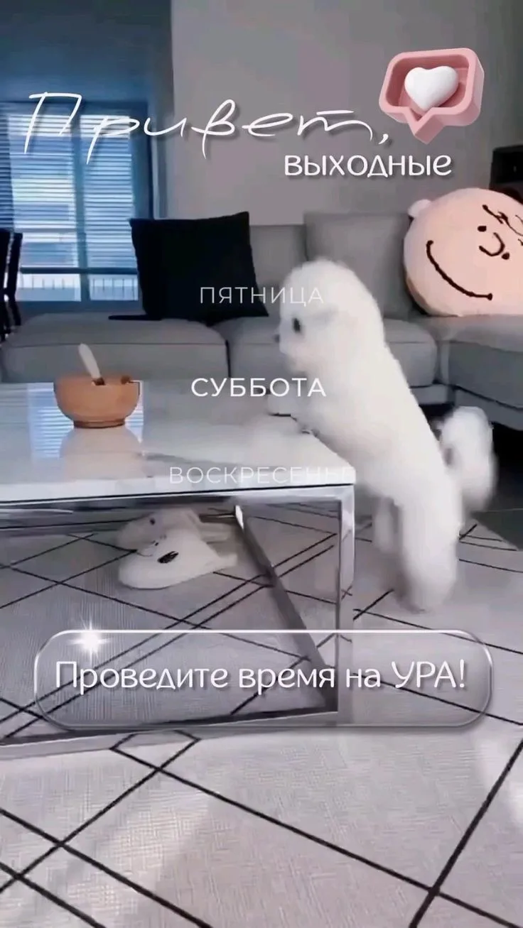 Рай открыток | Открытки 🥰