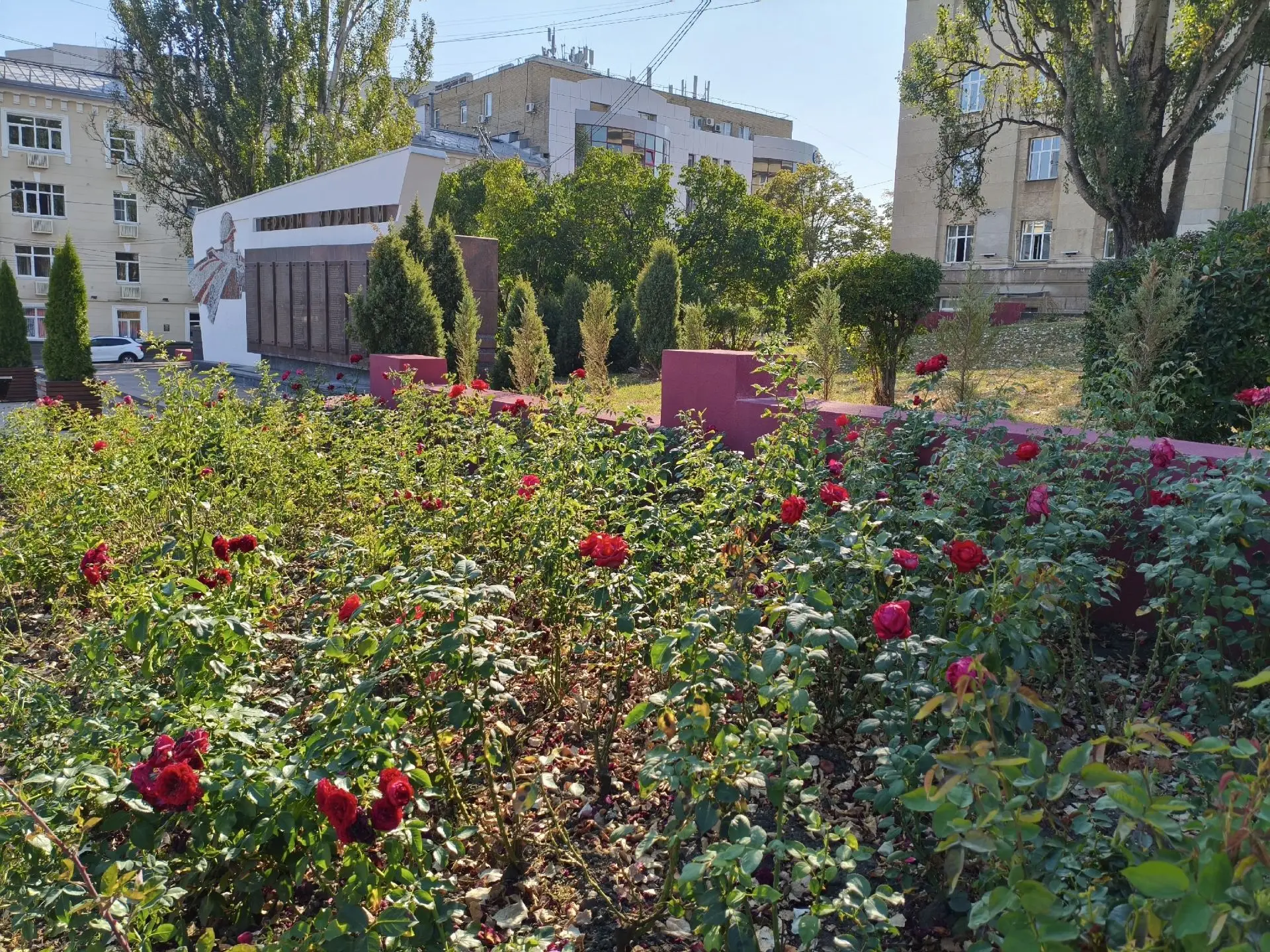 🌹 В Курской области 19 сентября температура воздуха составит +24 градуса
