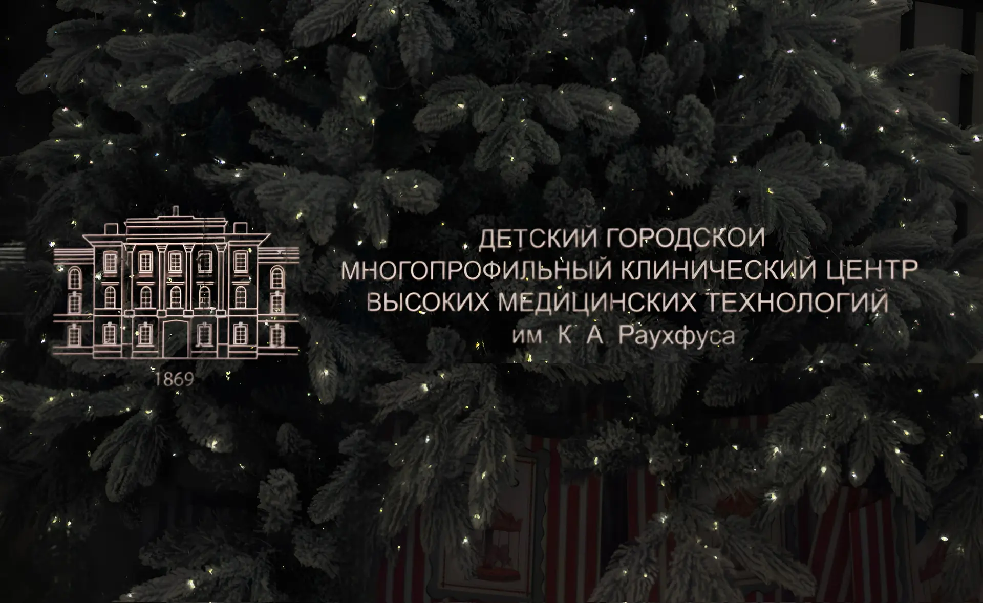 🎄Режим работы Центра Раухфуса в Новогодние праздники.