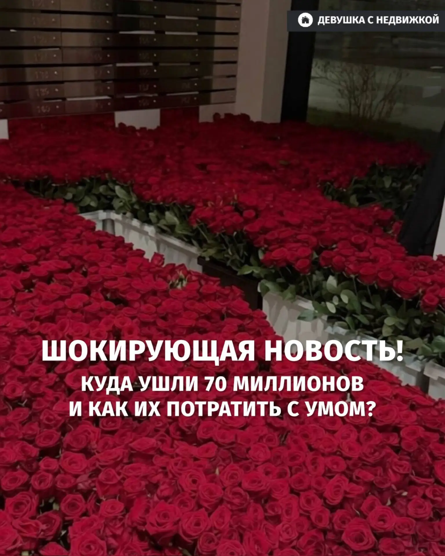 Москвич потратил 70 миллионов рублей… на признание в любви.