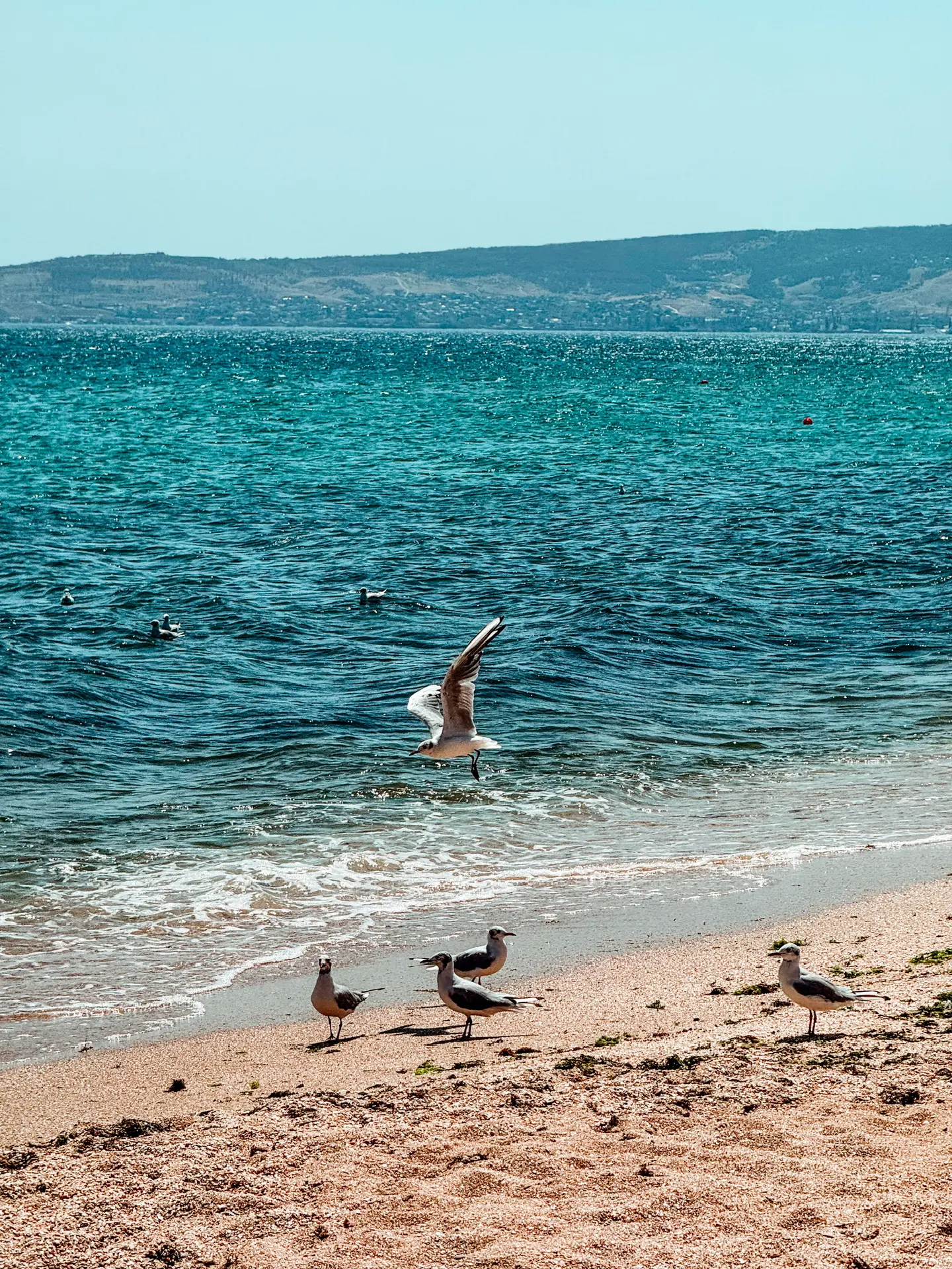 Море в Береговом сегодня🤩🌊