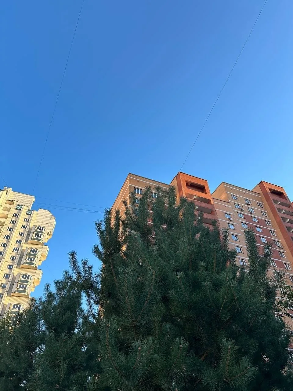 Наслаждаемся последними теплыми деньками в Зеленограде. Впереди только Бабье лето, а да...