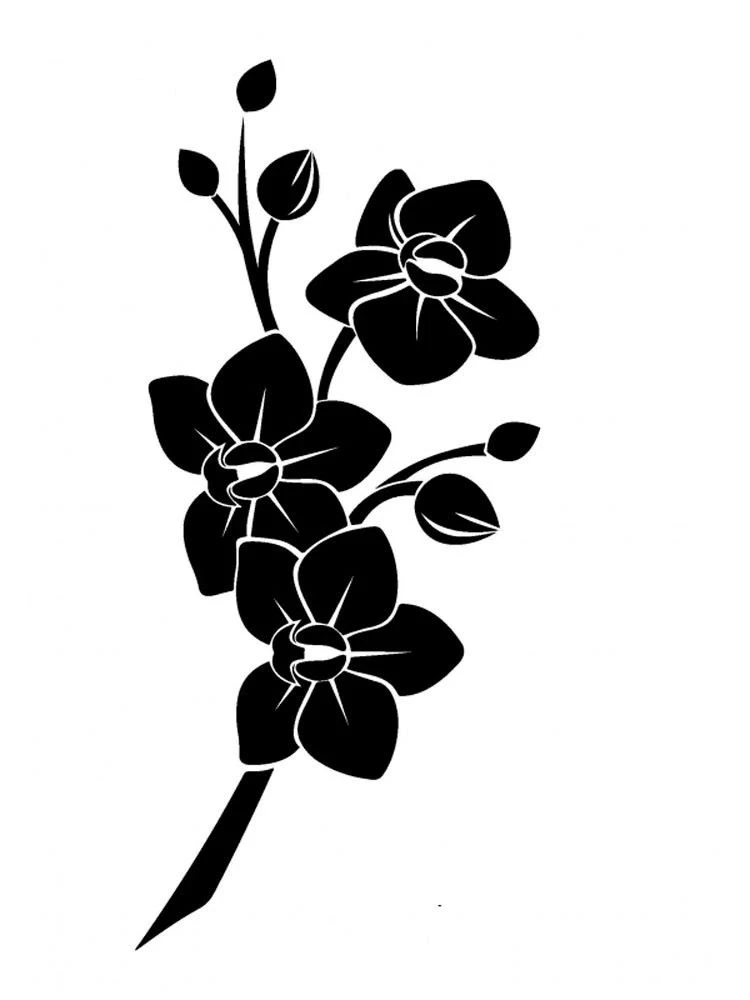 Трафареты цветов 🌺🌸🌼