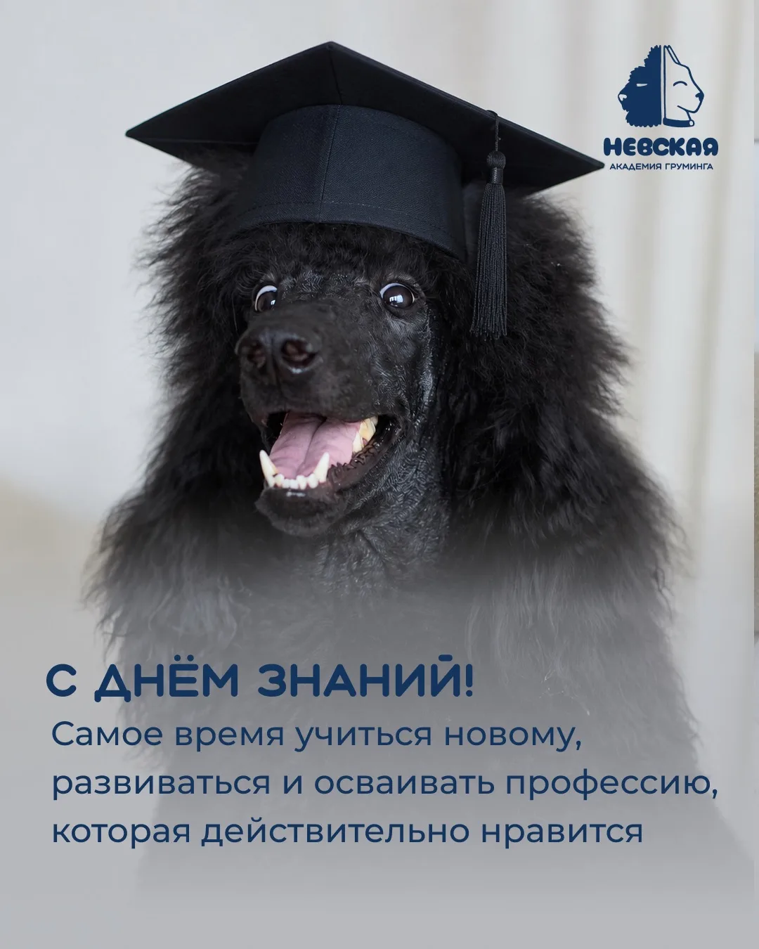 С Днём знаний! 🎓🐾