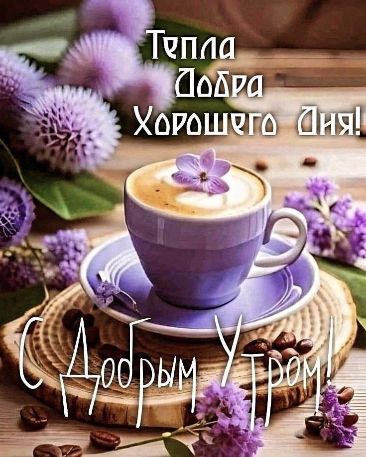 @pozdraf