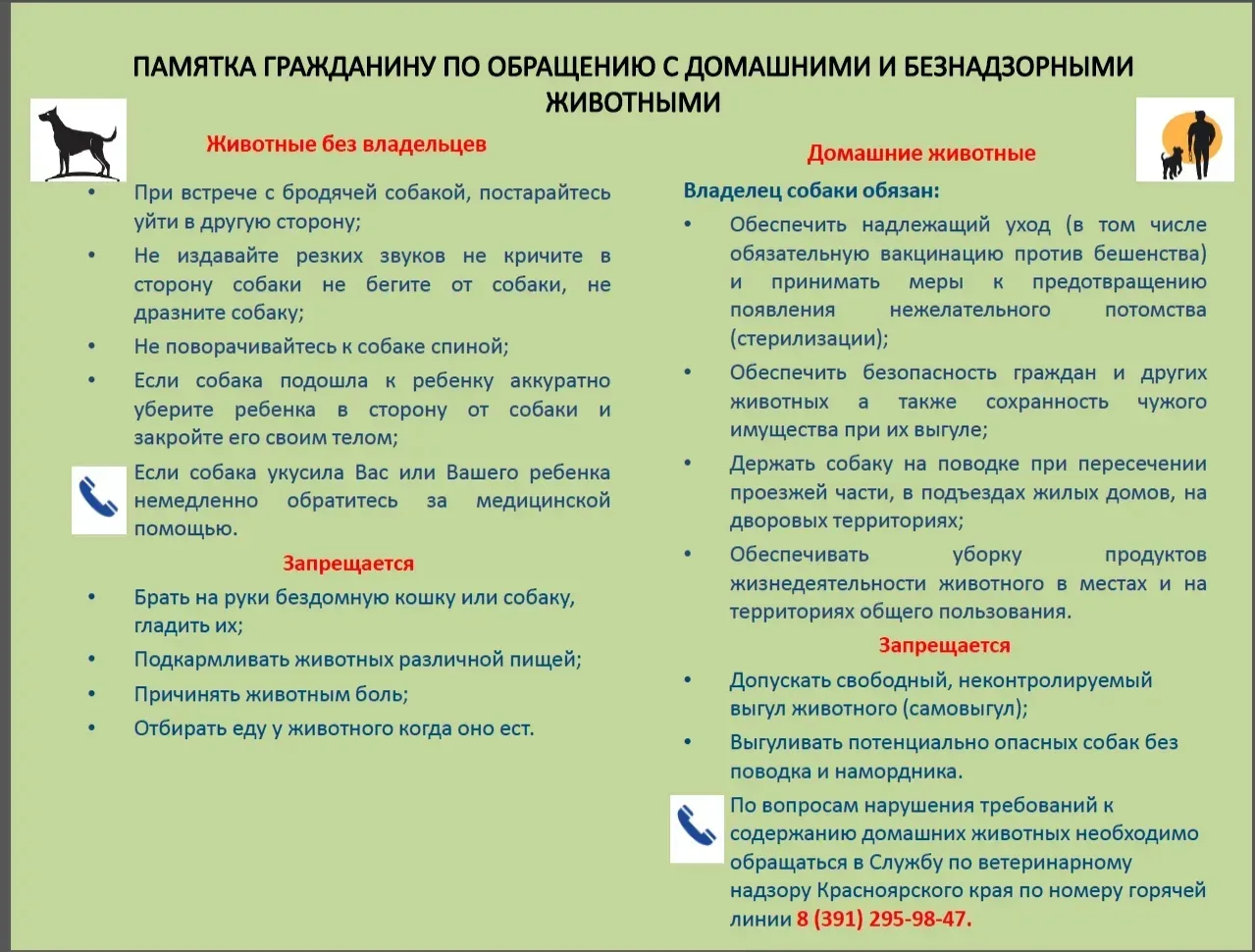 🐶📝 Правила обращения с домашними и безнадзорными животными