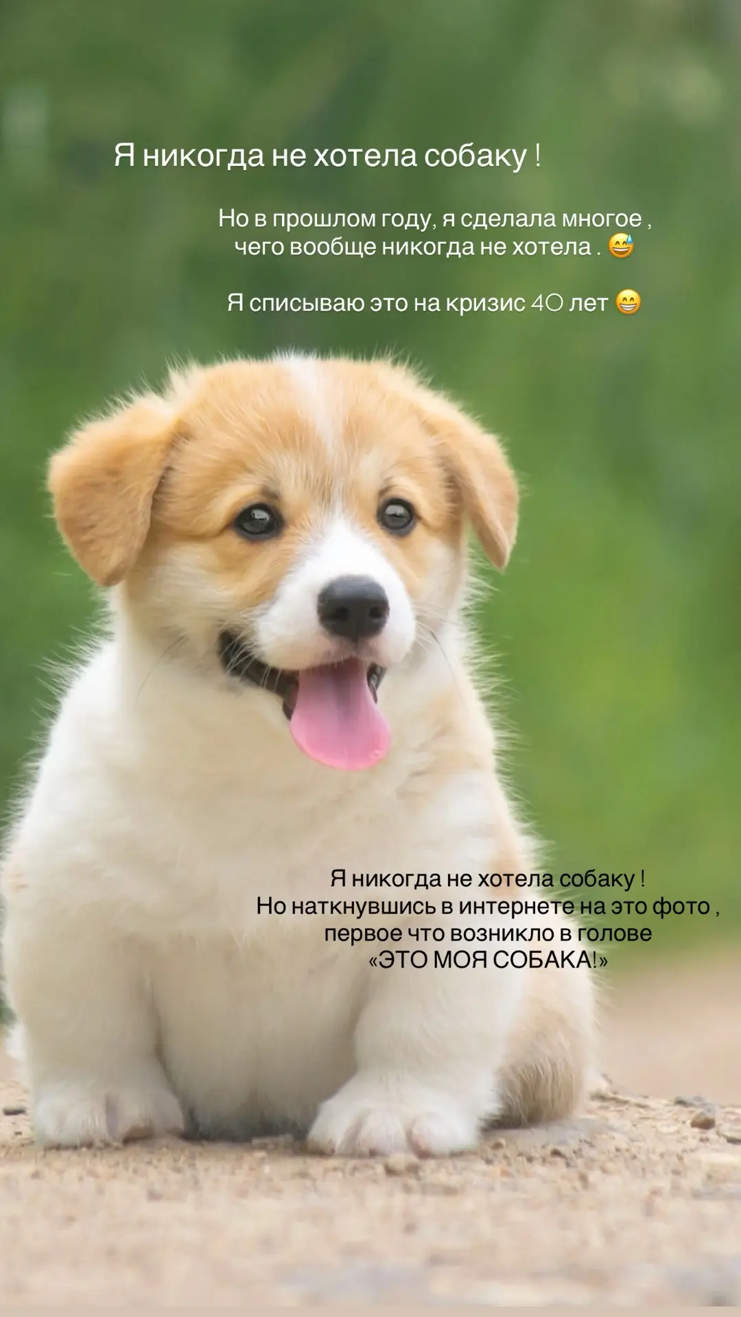 Никогда не говори НИКОГДА 💔