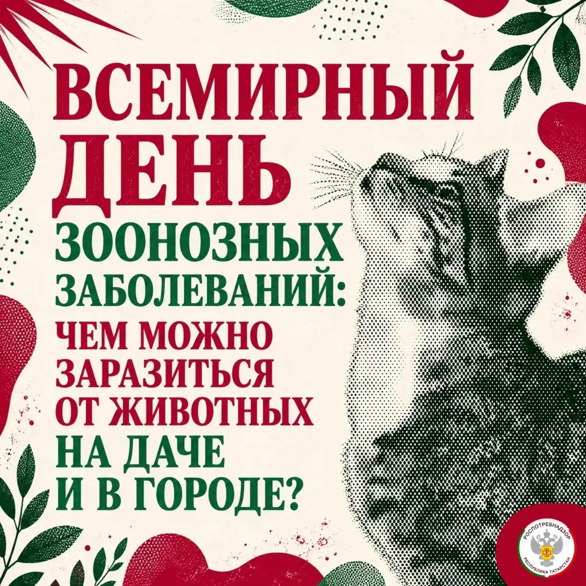 🐈 Животные, которые живут на улицах города и даче, часто болеют и могут служить перено...