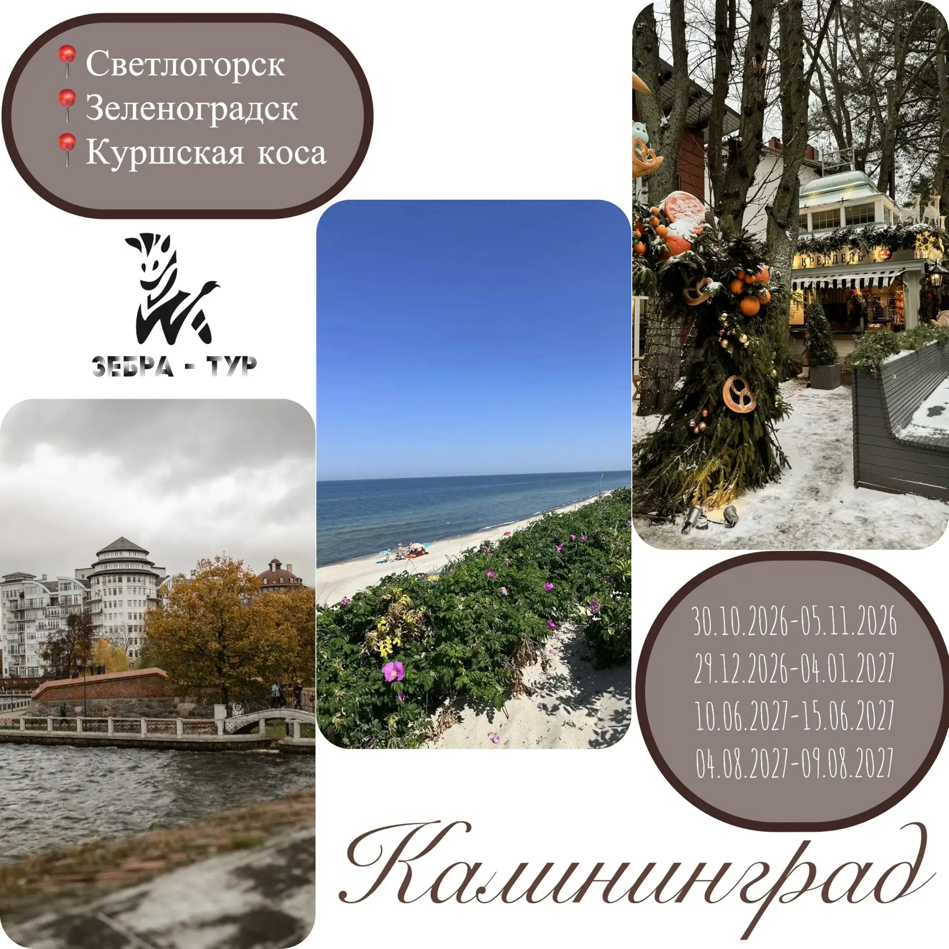 Калининград📍