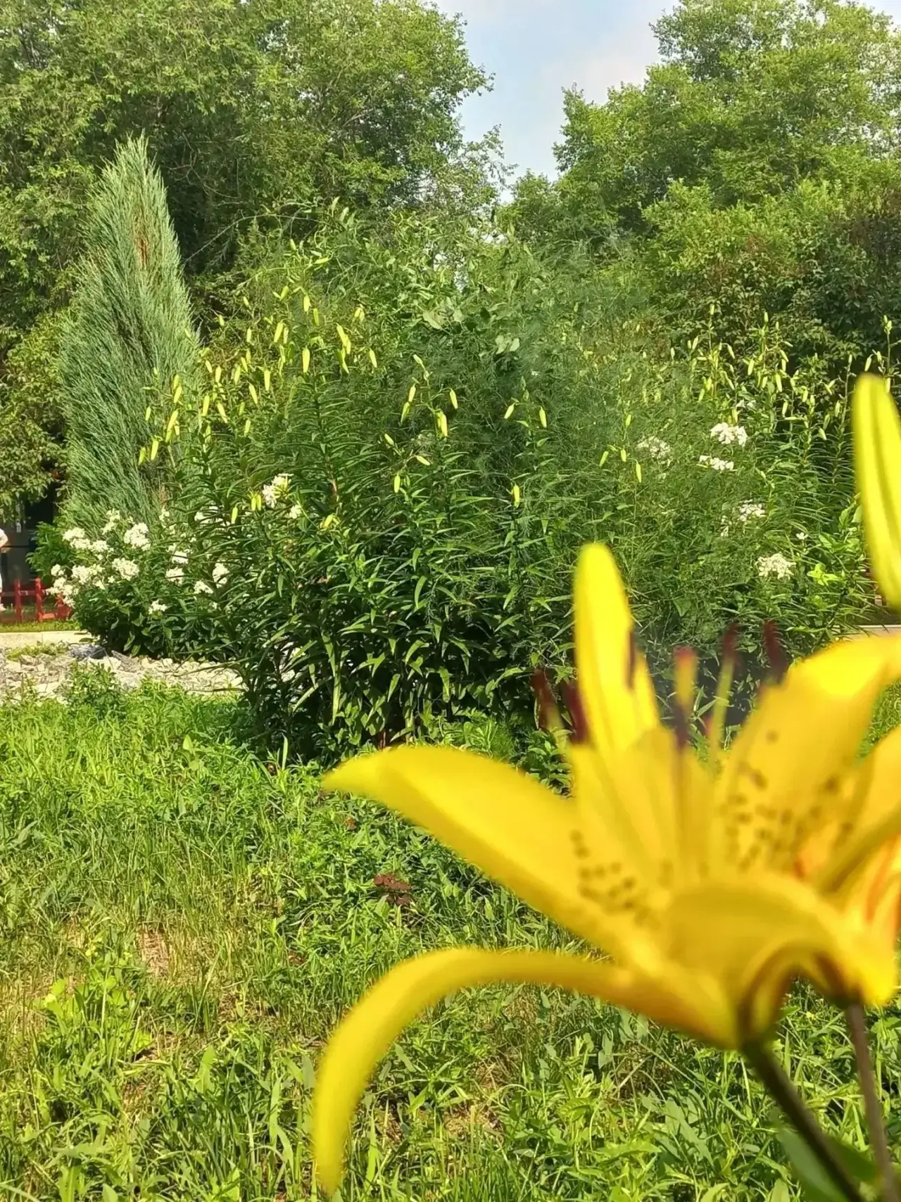 ✨ Дорогие родители! Нашему саду нужна ваша поддержка!🤝🌸