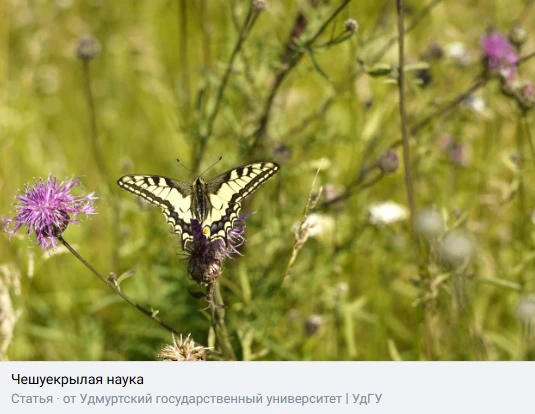 🐛🦋Тонкости лепидоптерологии
 
Сегодня отмечаем День бабочек – важную экологическую дату, которая н