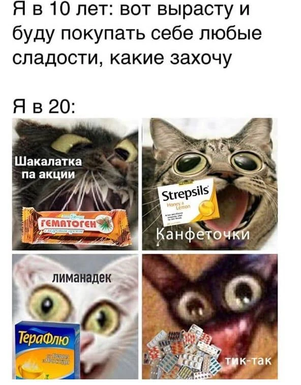 Мемы каждый день • Подписаться
