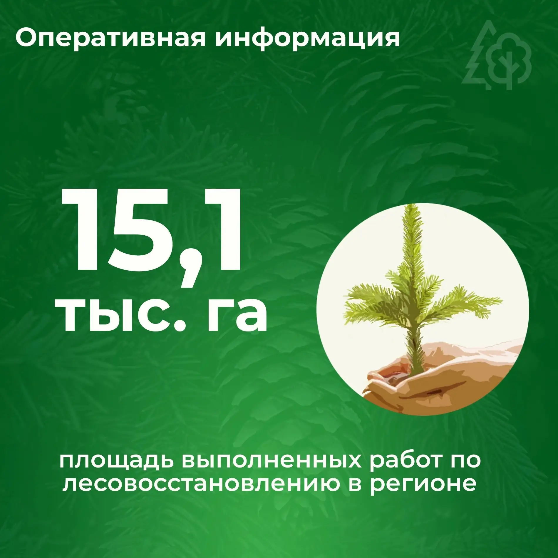 🌱ЛЕСОВОССТАНОВЛЕНИЕ В ЦИФРАХ 
 
Начинаем рубрику, в которой будем рассказывать о ходе лесокультурно