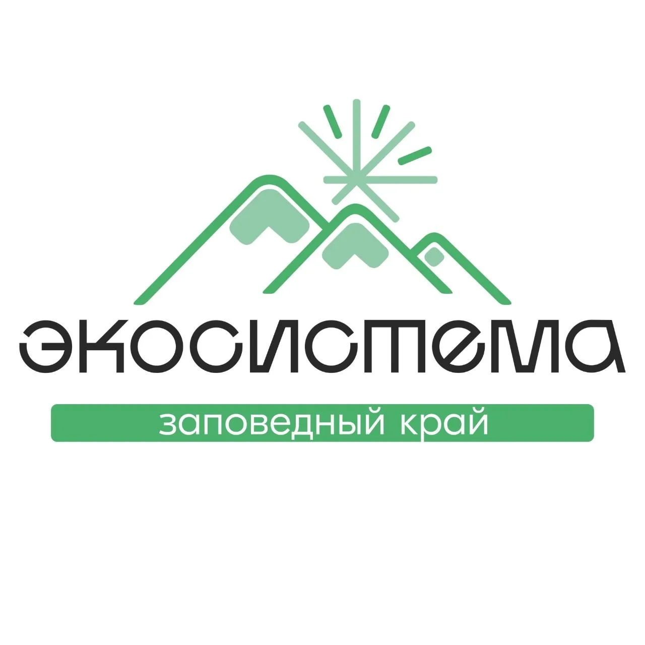 Всероссийский молодежный экологический форум «Экосистема. Заповедный край» пройдет на Камчатке

С 21
