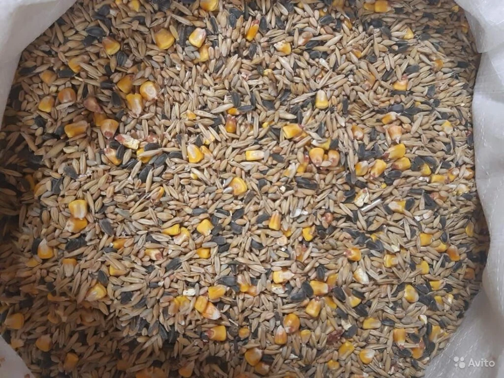 Зерносмеси🌾🌾🌾🌻
✅ Зерносмесь "Лакомка" для птиц 🐔🦆🪿🐦‍⬛ из цельного зерна (пшеница, ячмень, пр