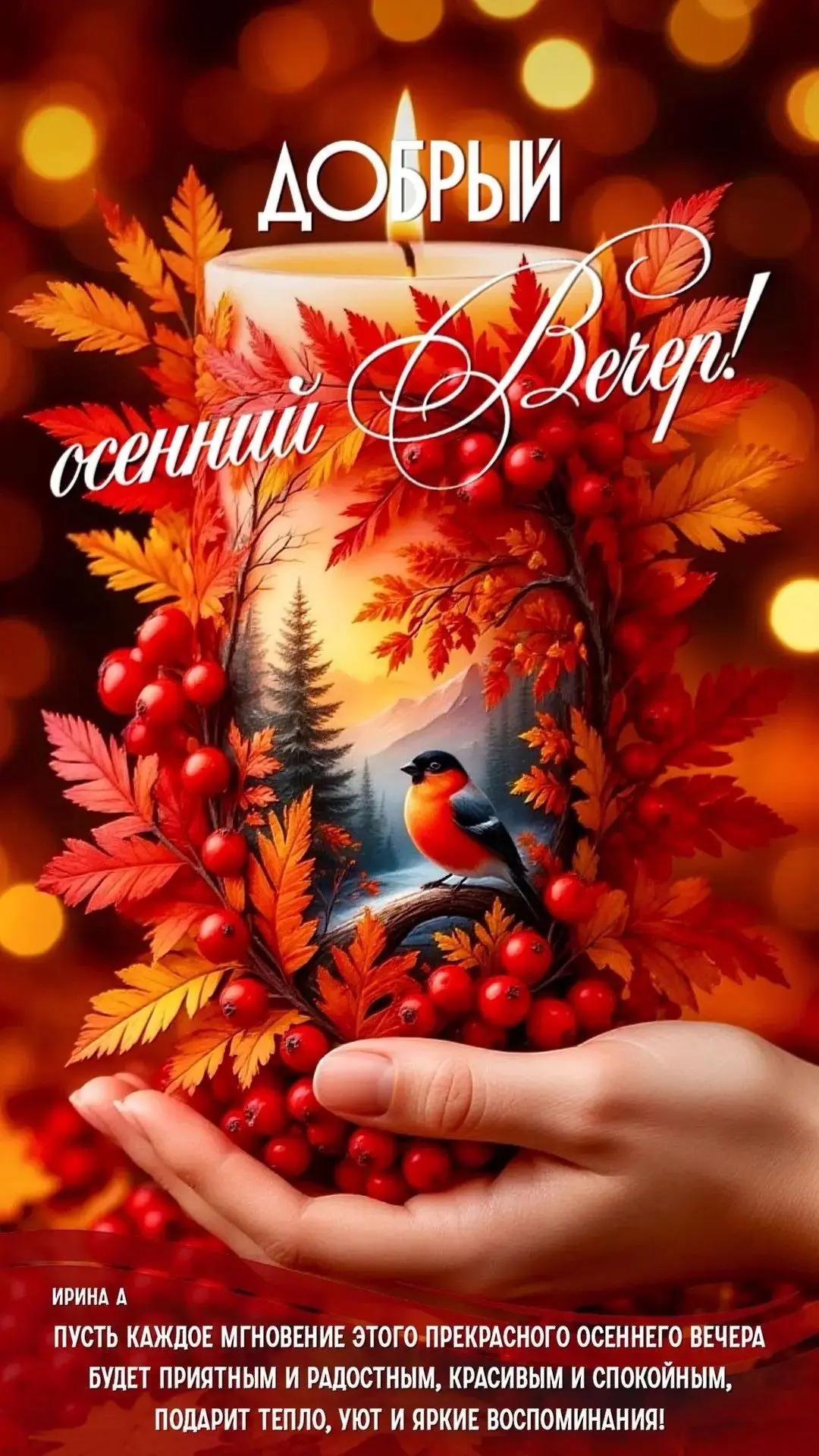 ✨❤️❤️❤️🍬✨