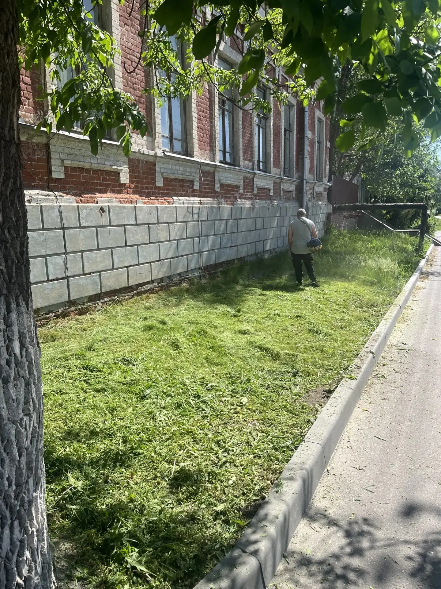 ☀️️Важным мероприятием в плане благоустройства территории является своевременный и регу...