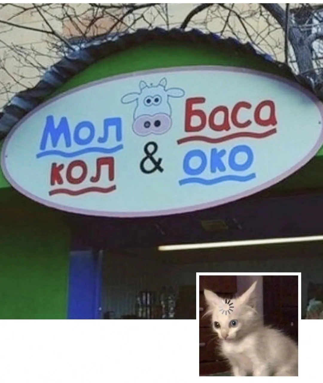 Шта?! Очередные чудеса дизайна 😆