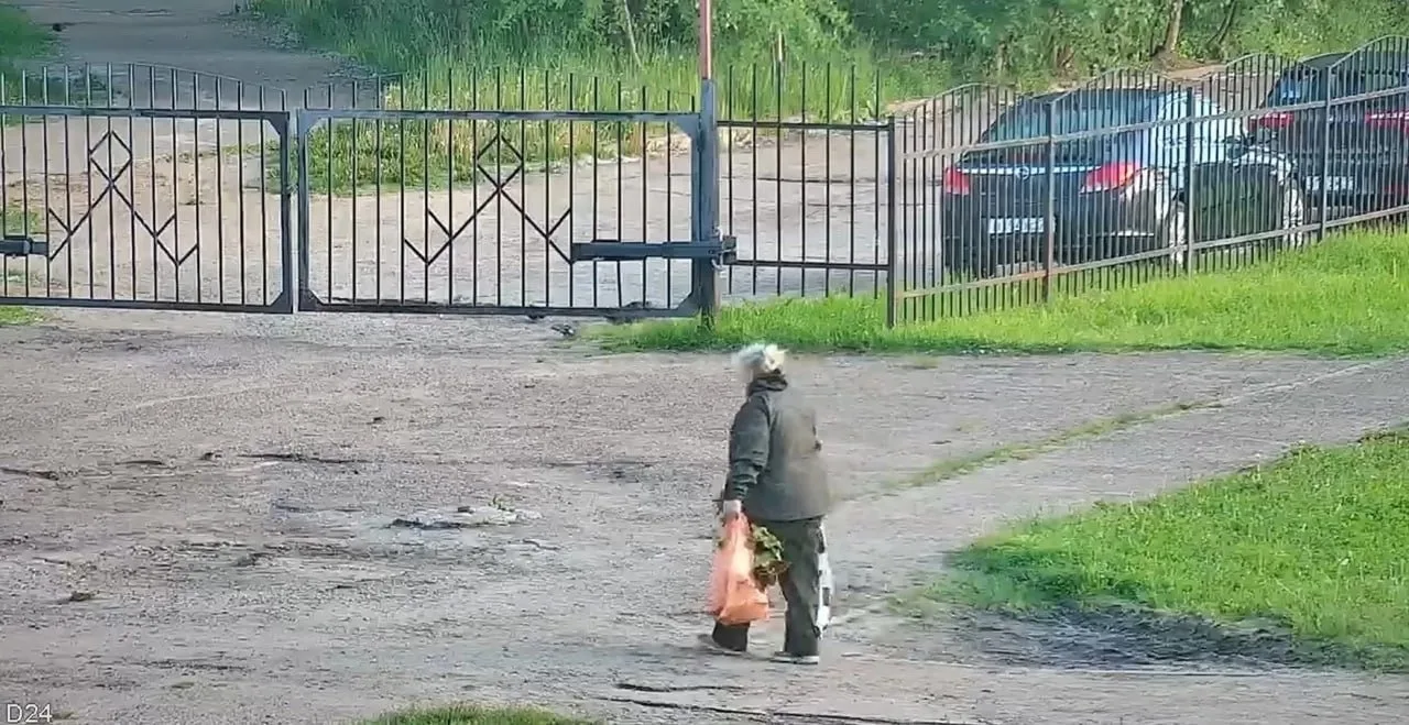 Странные хобби у некоторых пенсионерок в Эжве. Женщина вырвала недавно посаженные цветы...