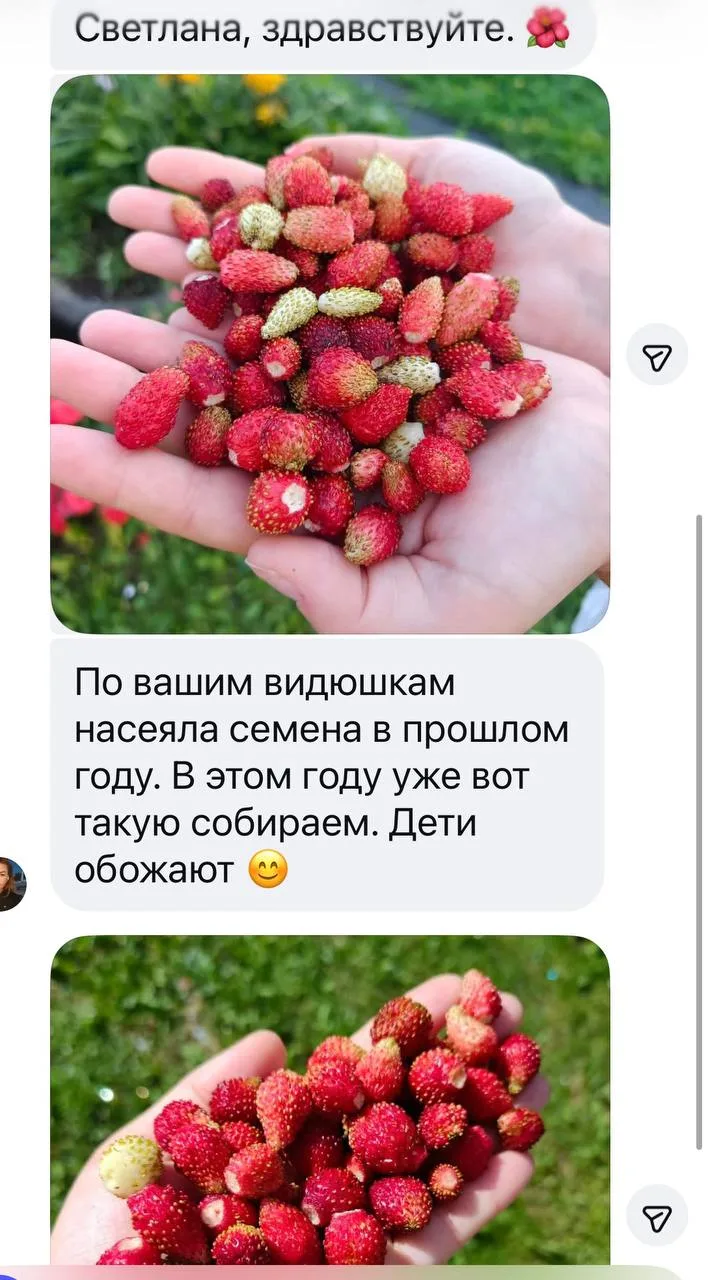 Доброе утро, девчата😍