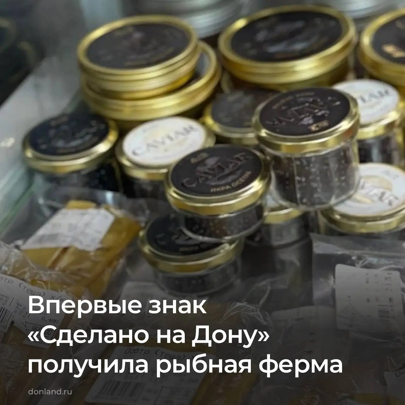 🐟 Рыбная ферма «Экодон» получила свидетельство системы добровольной сертификации «Сдел...
