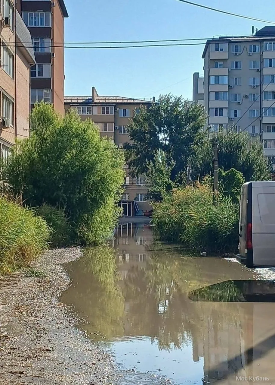 Жители Музыкального района Краснодара жалуются на местное болото. На улице Мусоргского ...