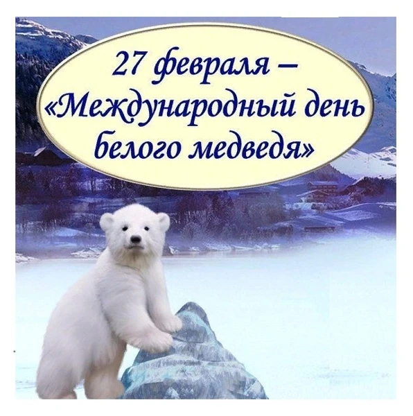 Там, где холод, снег и лёд