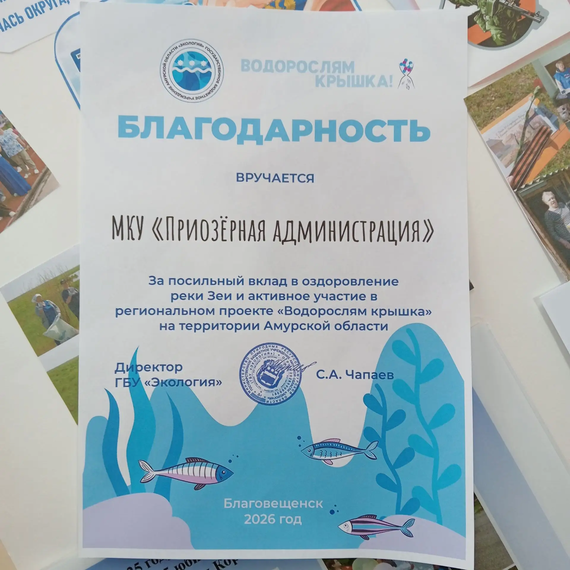 МКУ Приозерная администрация ежегодно принимает участие в акции "Водорослям крышка!" Вс...