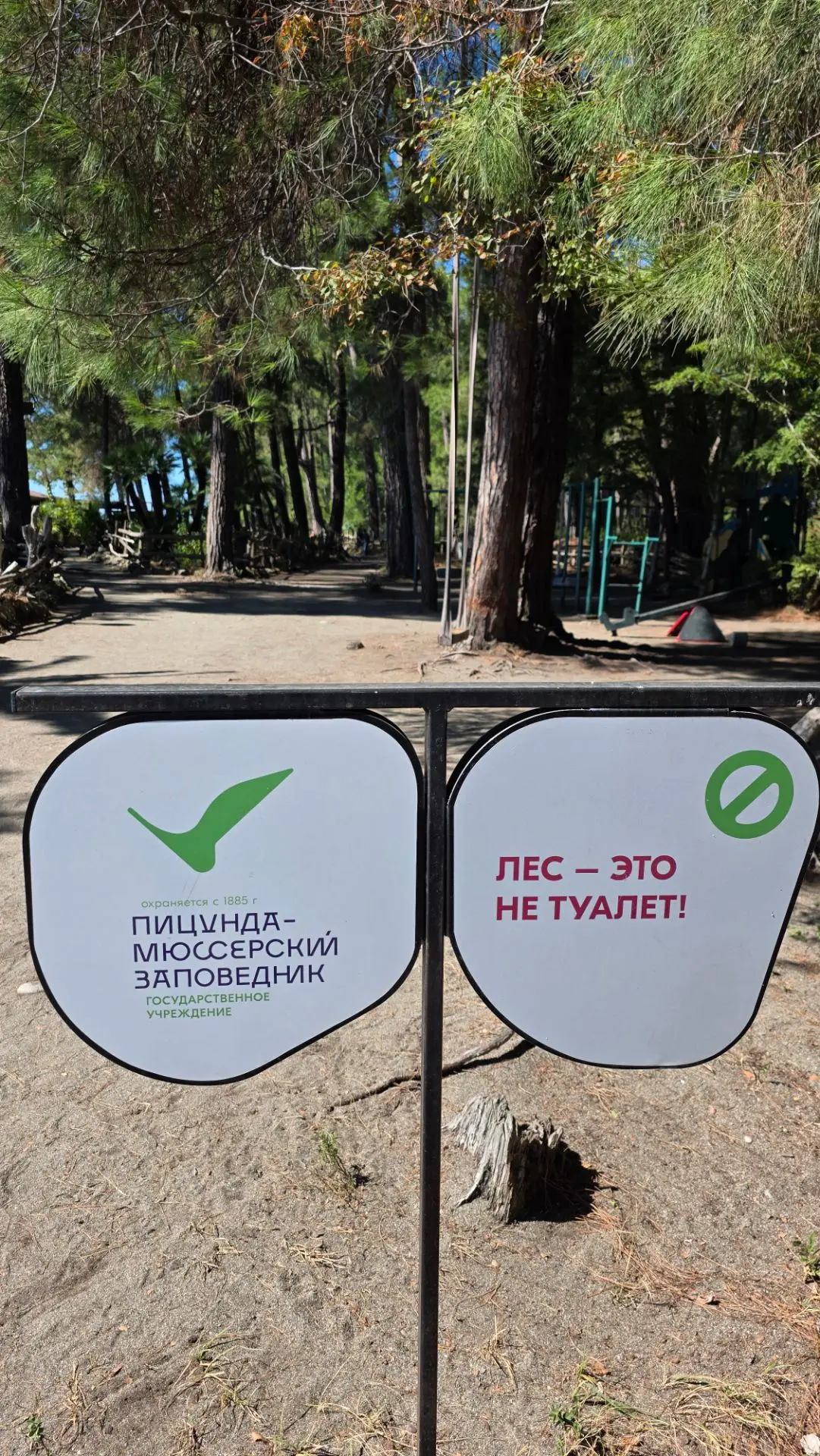 Все запомнили?