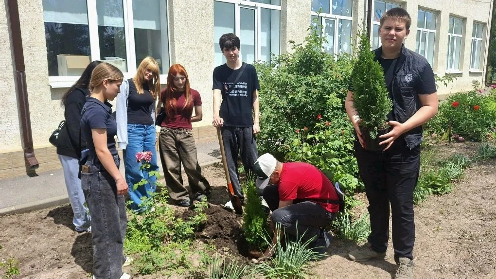 💫Продолжается добрая школьная традиция — выпускники высаживают туи на территории школы!💫